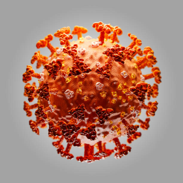 how long do coronavirus symptoms last - cdc hep b sheet